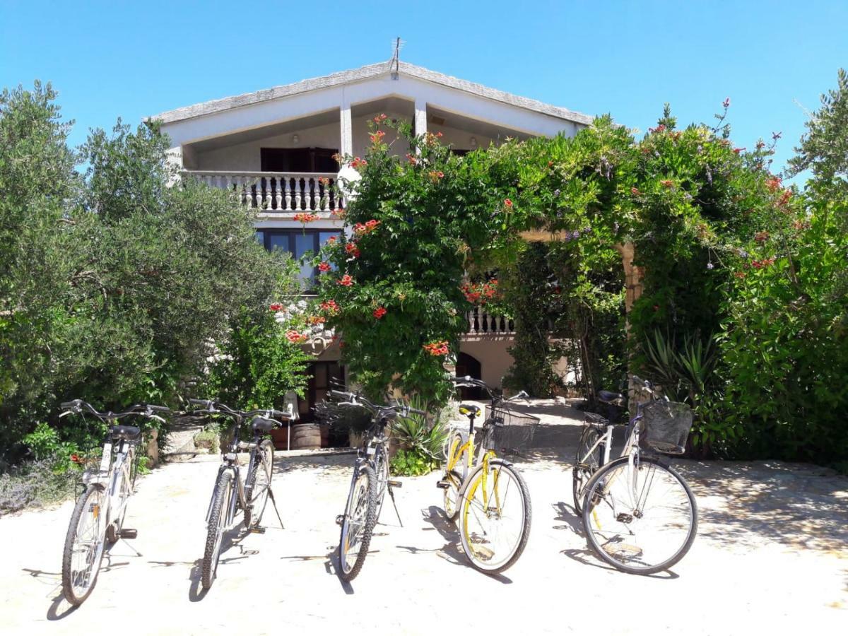 Apartments Marinka Biograd Na Moru Luaran gambar