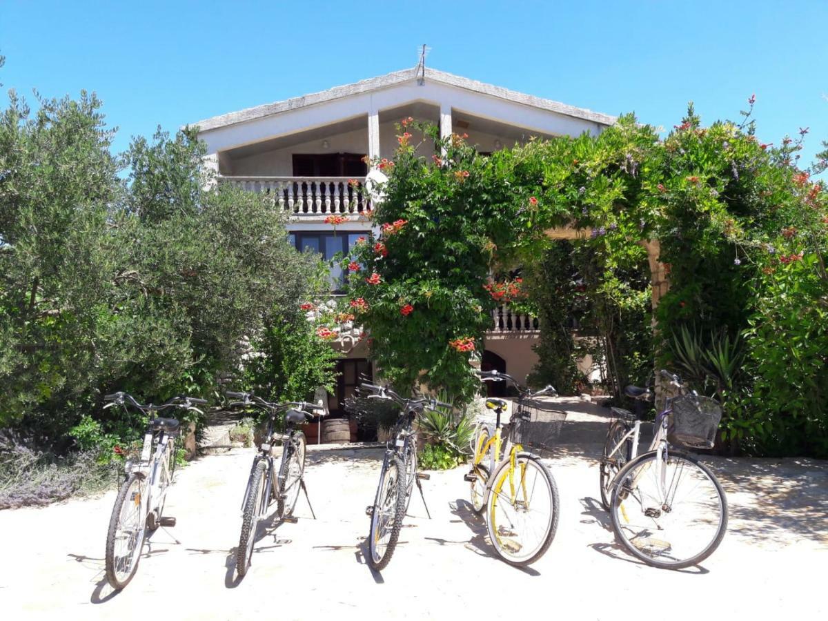 Apartments Marinka Biograd Na Moru Luaran gambar